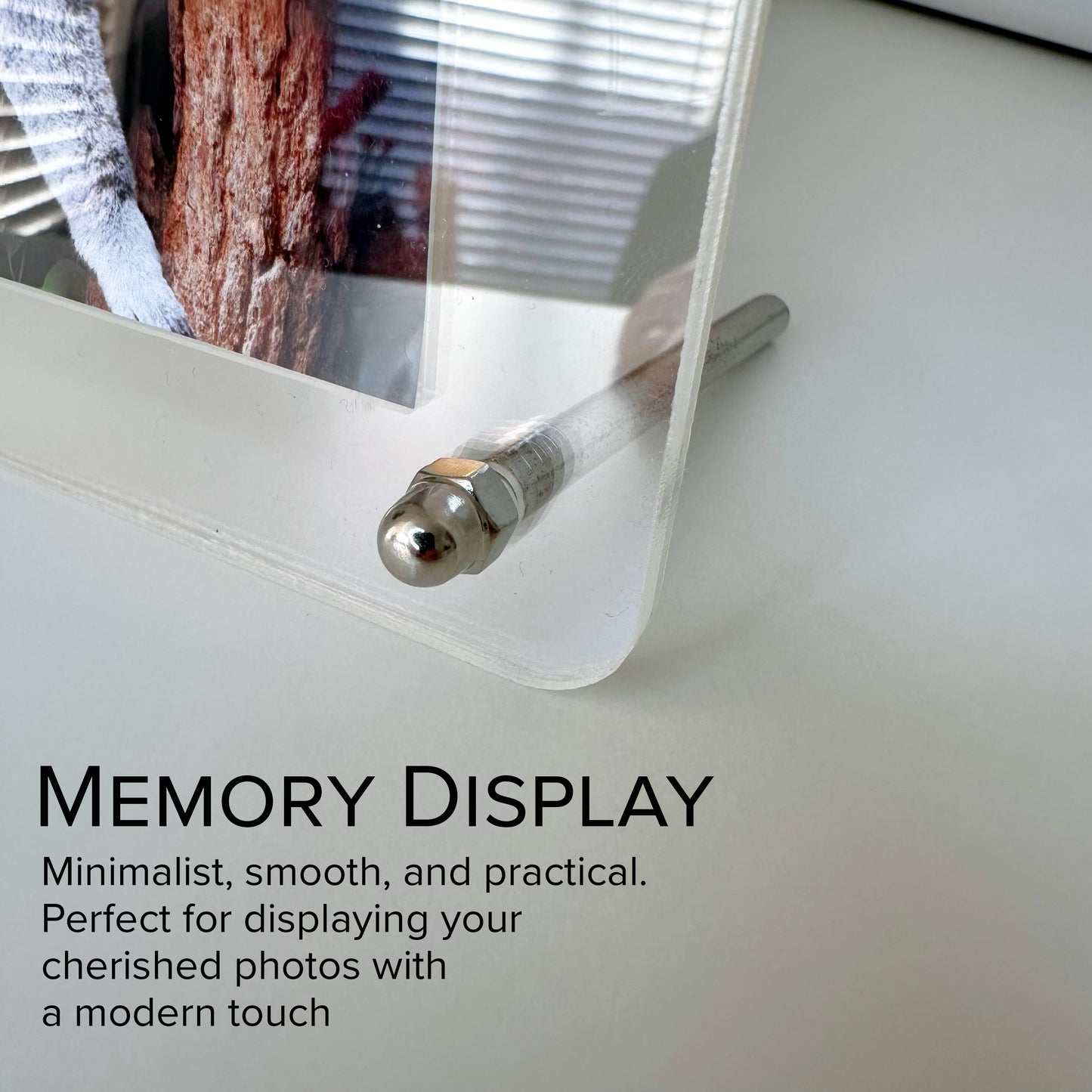 Memory Display