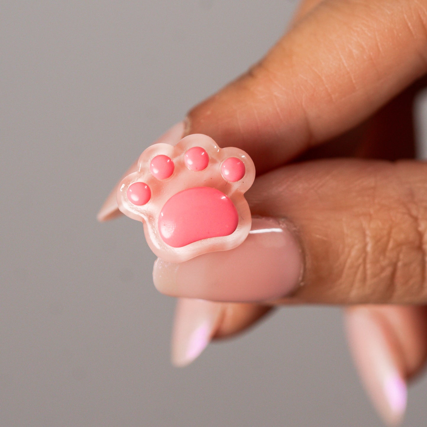 6pcs Mini Cat Paws Magnets