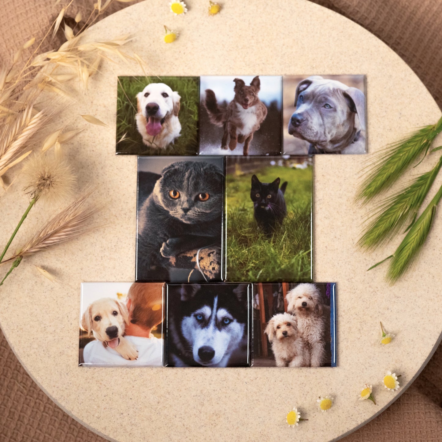Mixed Magnet Sets - Square and Rectangle