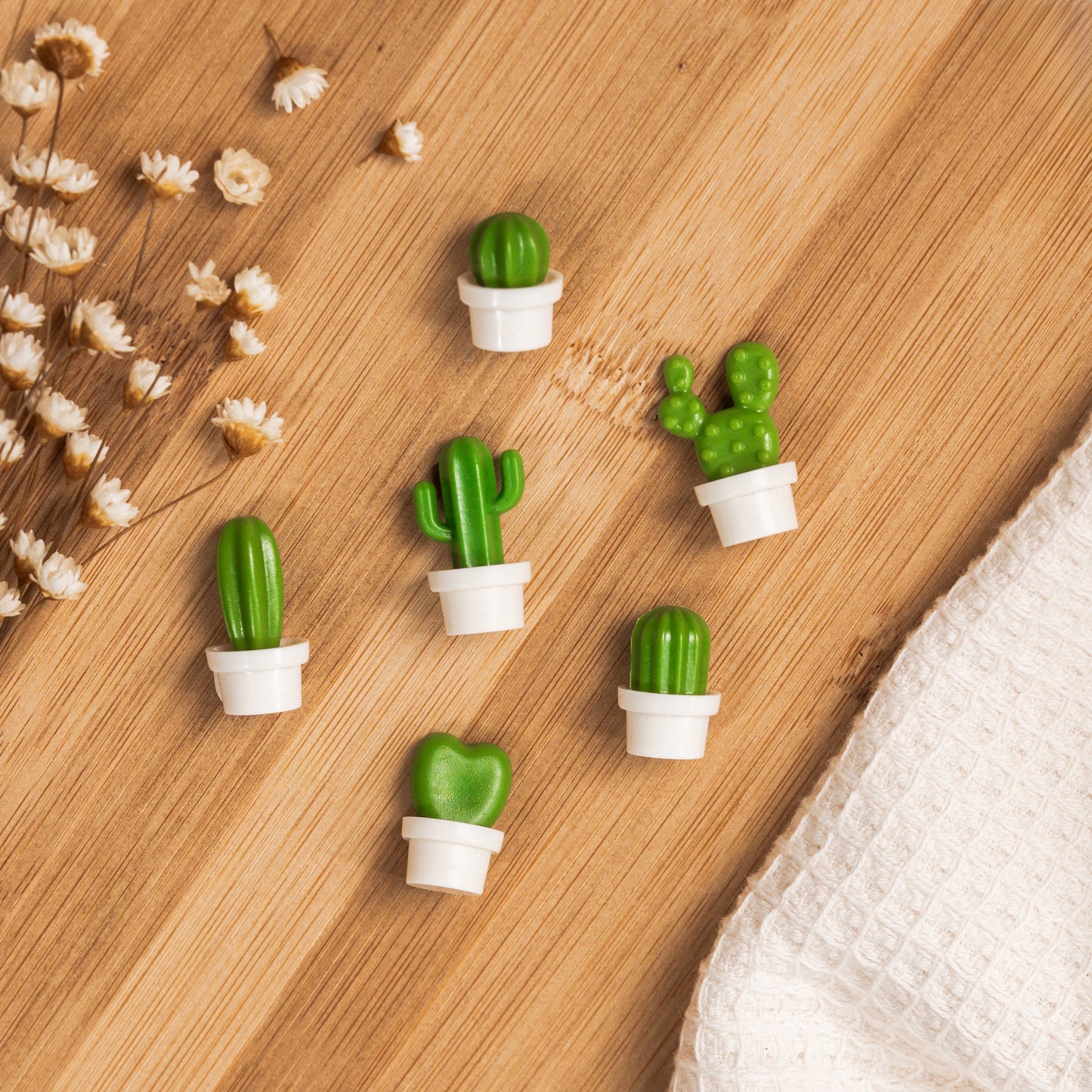 6pcs Mini Succulents Magnets